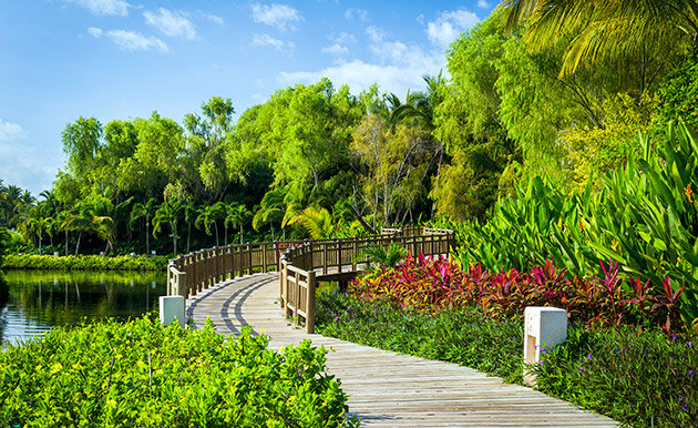 Vidanta-nuveo-vallarta-mayan-palace-gallery-6